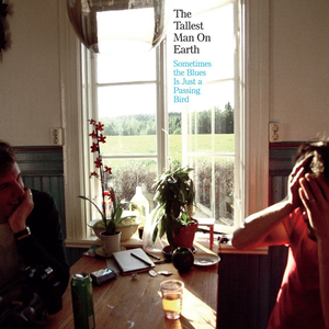 Tallest Man On Earth/Sometimes The Blues Is Just A Passing Bird (EP) (ReVINYL edition) [LP]