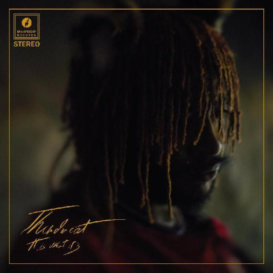 Thundercat/It Is What It Is (Red Vinyl) [LP]