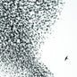 Wilco/Sky Blue Sky (Sky Blue Vinyl) [LP]
