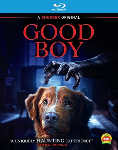 Good Boy [BluRay]