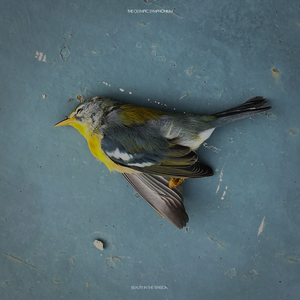 Olympic Symphonium, The/Beauty In The Tension [LP]