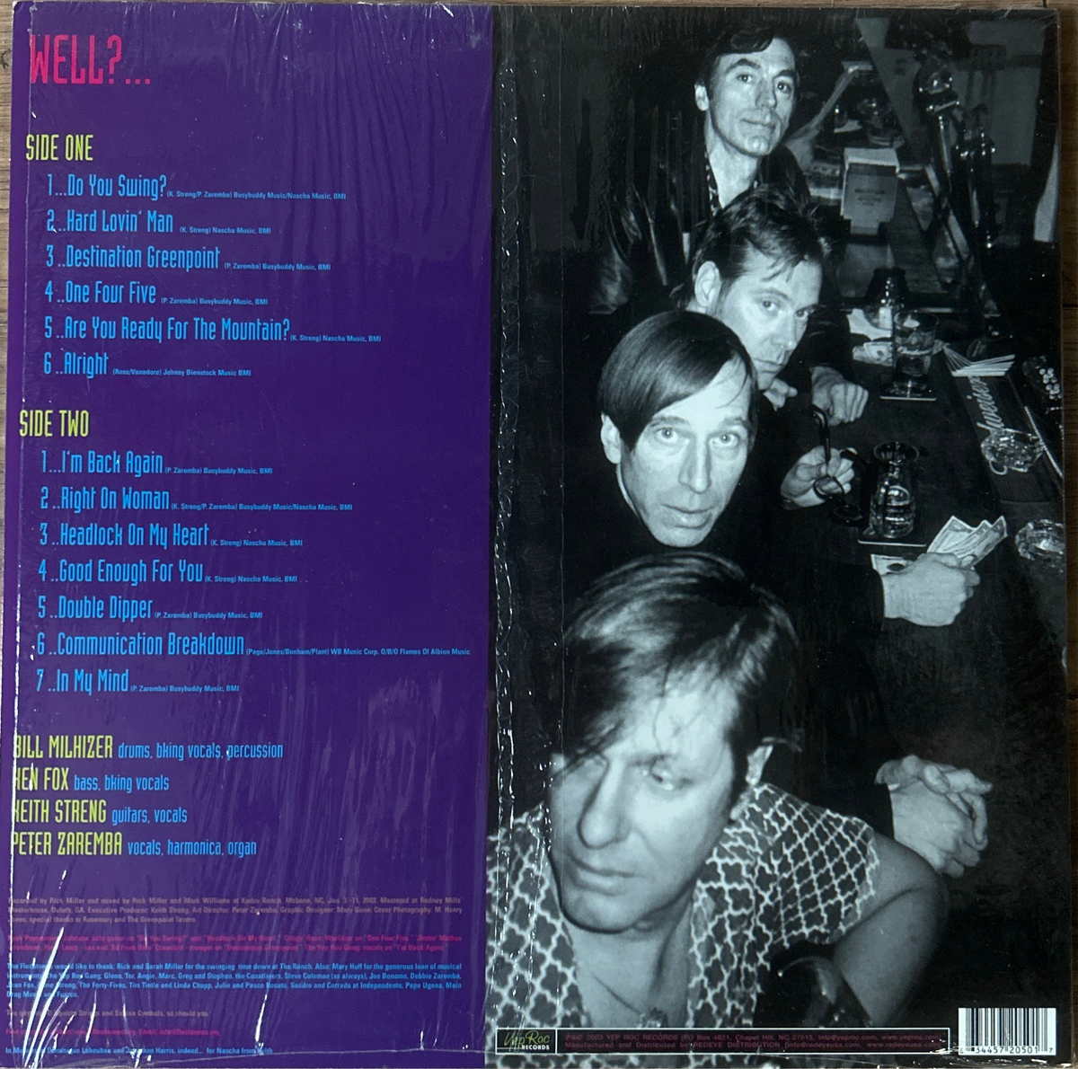 [Used LP] Fleshtones, The / Do You Swing?